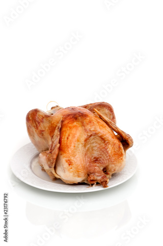 Whole turkey on white background