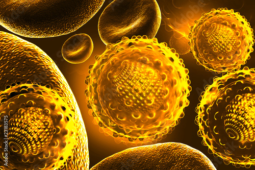 hepatitis virus