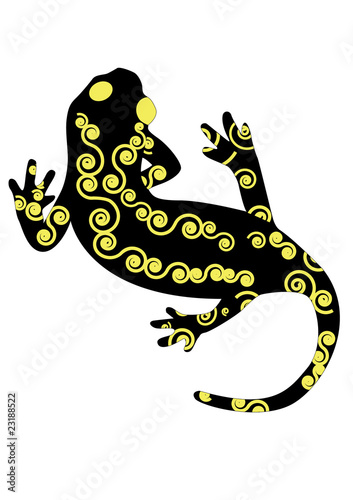 Salamandra