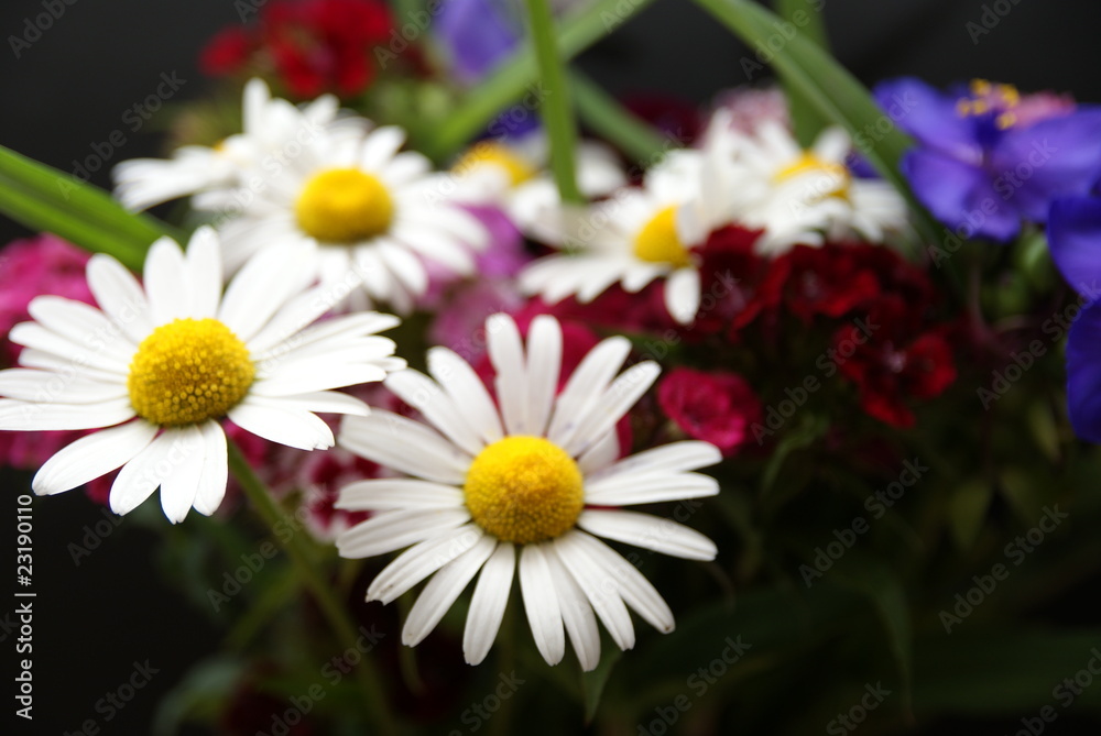 Obraz premium Blumenstrauß