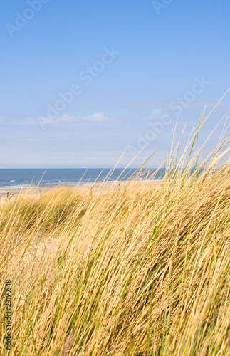 Idyllischer Tag an der Nordsee im Sommer