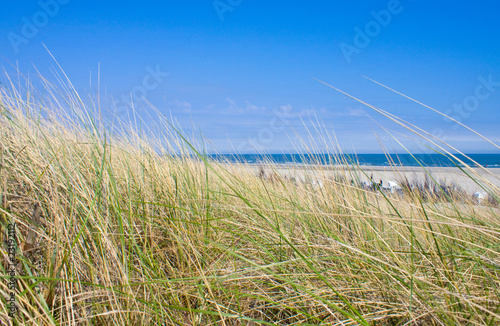 Idyllischer Tag an der Nordsee im Sommer