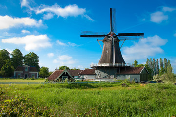 Keuken achterwand Molens Hollandse molen in groen polderlandschap  © hansenn