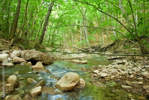 small river in a mountain forest