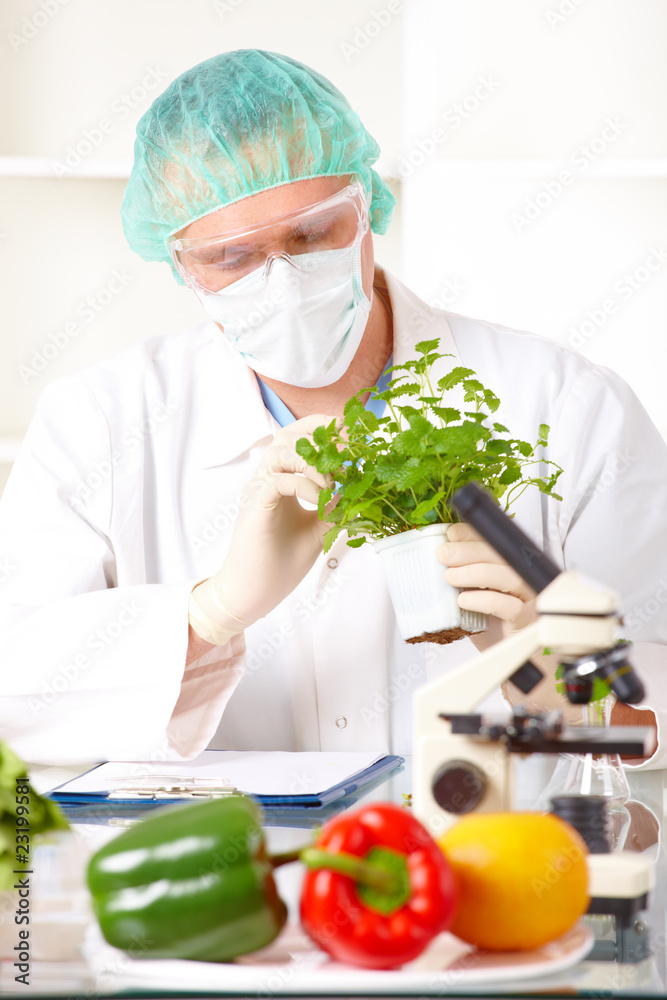 Researcher holding up a GMO vegetable in the laboratory Researcher holding up a GMO vegetable in the laboratory