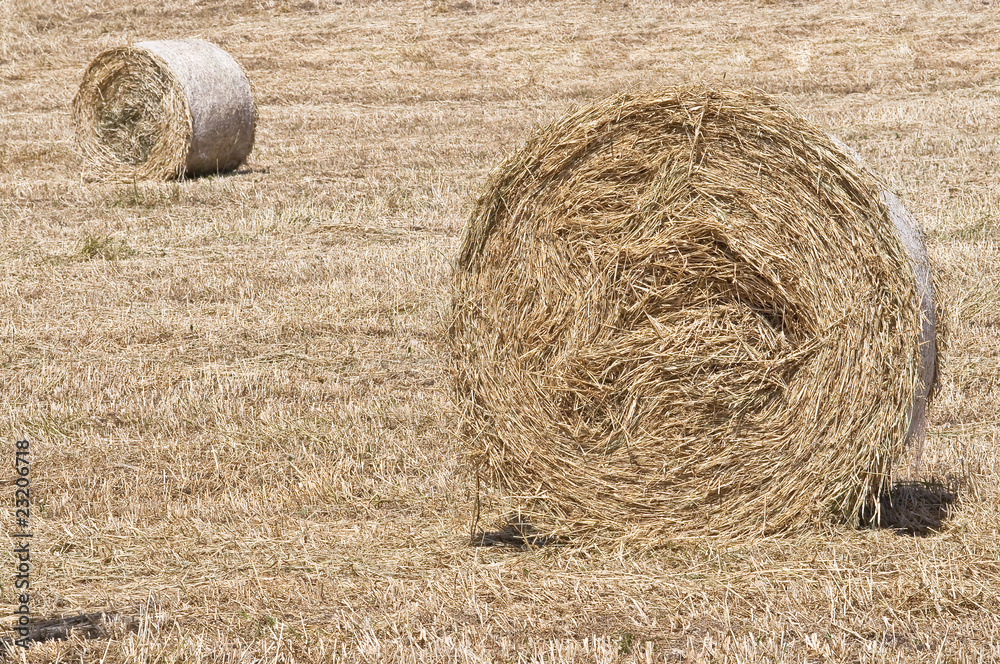 bales of hay bales of hay