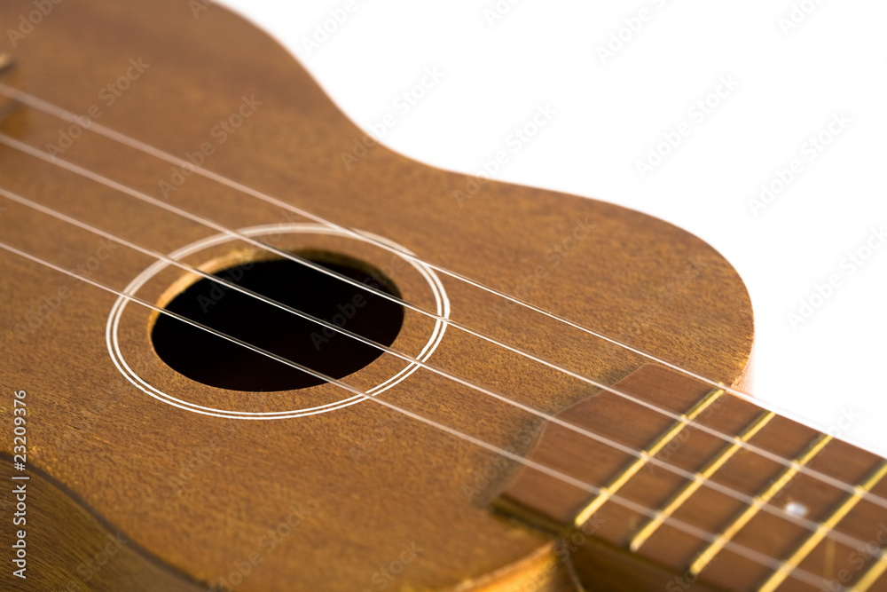 Obraz premium ウクレレ