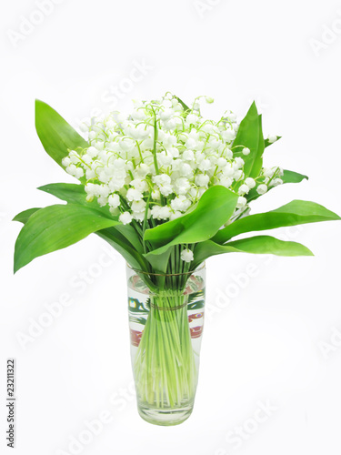 bouquet of lily of the valley flowers