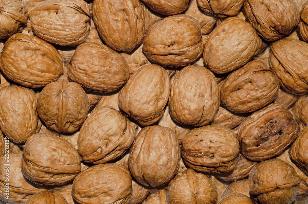 nuts background nuts background