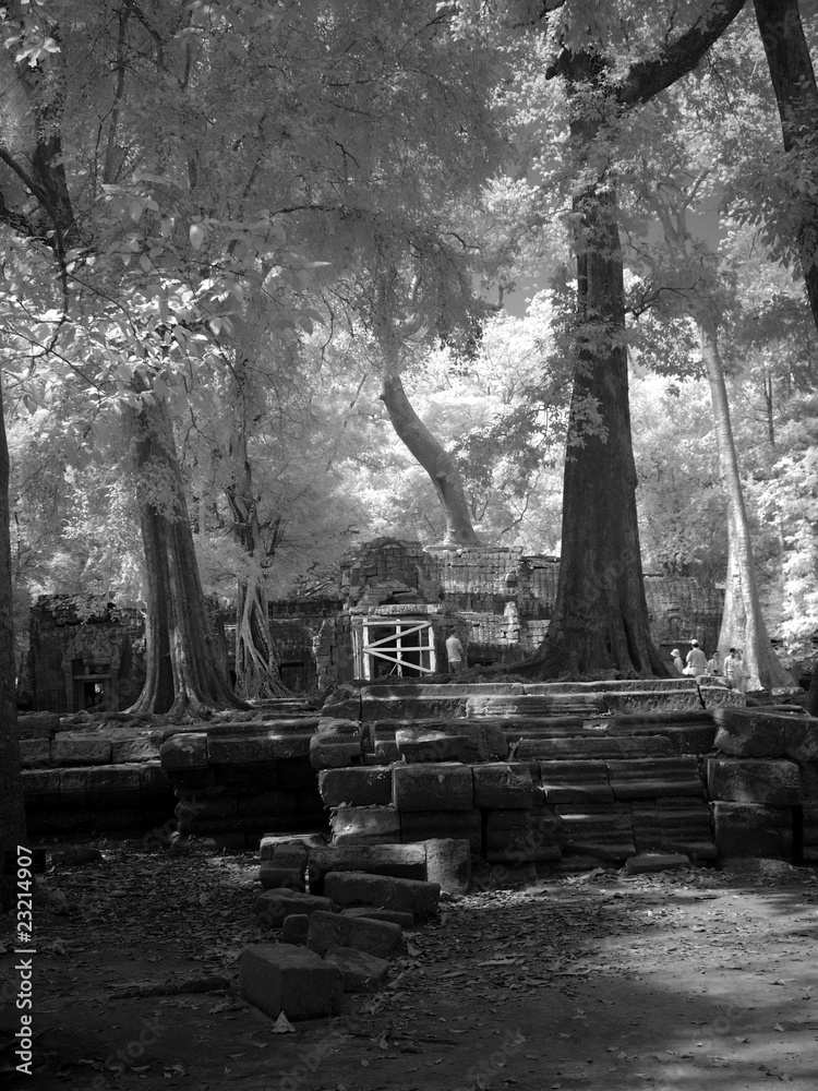Angkor Wat - The bliss of Khmer art nb.42