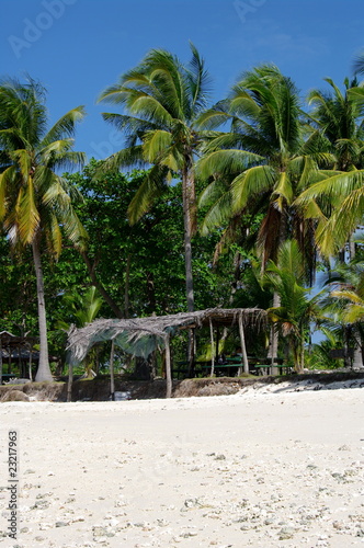 Philippines  Cebu - Virgin Island beach nb.8