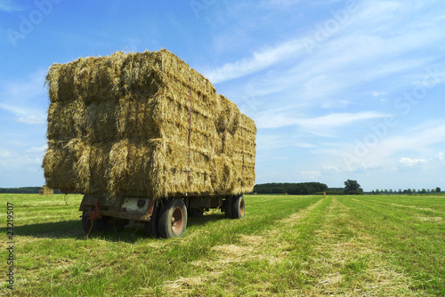 Bales of hay on a trailer standing in the sun