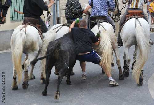 Obraz na plátně feria dans les rues de Nimes