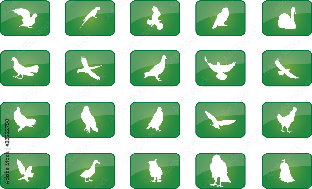Set Birds