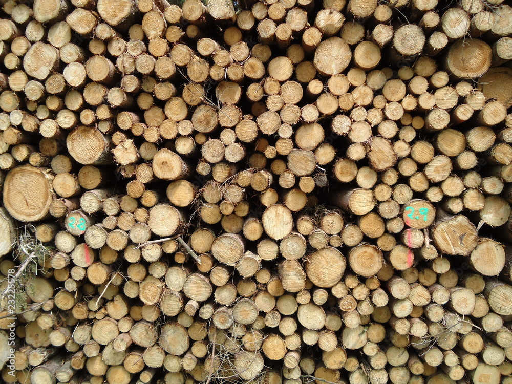 Holzstapel Holzstapel