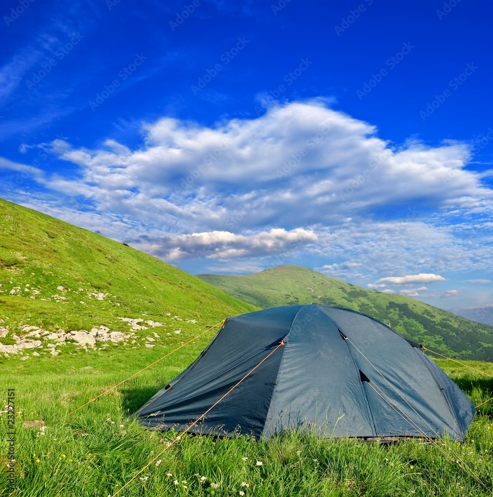 touristic tent among a green fields