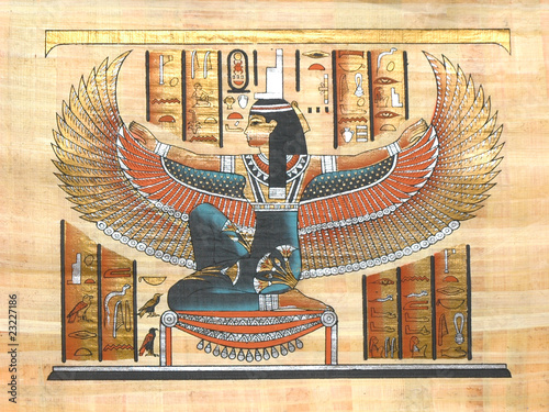 Papyrus photo