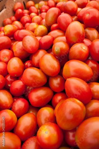 Organic red tomatoes