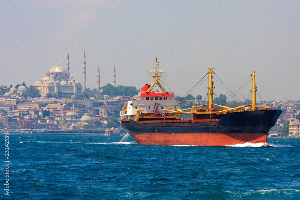 Fototapeta premium Freighter before Istanbul Skyline, Turkey