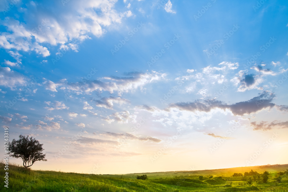 Landscape with a beautiful sky