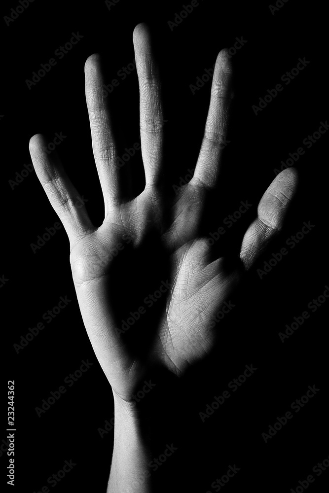 Fototapeta premium Human hand