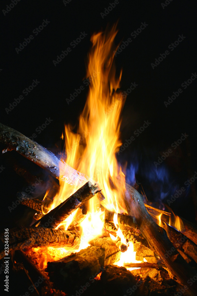 Fototapeta premium Fire