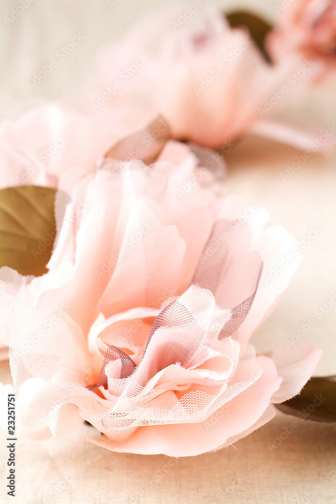 Fototapeta premium 花