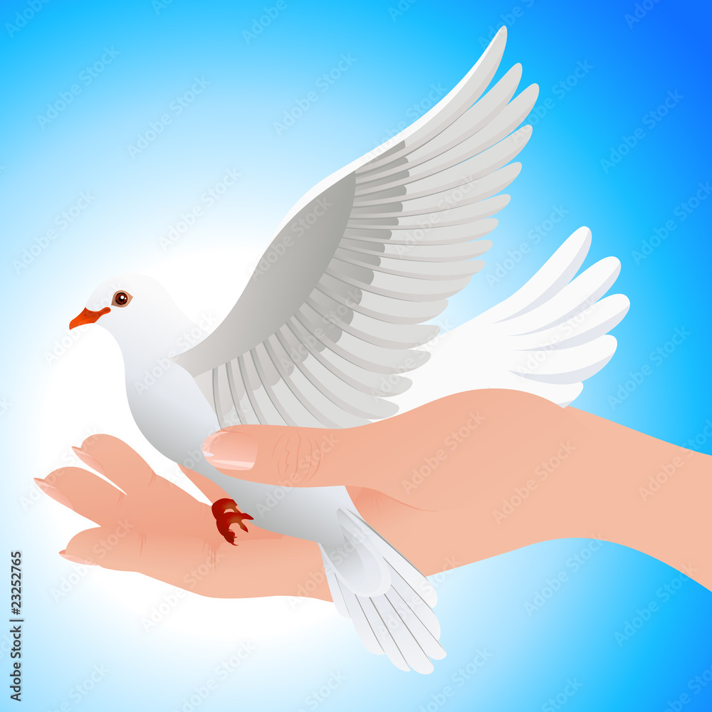 Obraz premium Dove in human hand