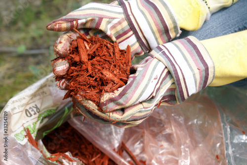 Gardening with Red Mulch photo