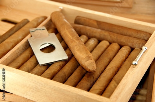Photos Cigars in humidor