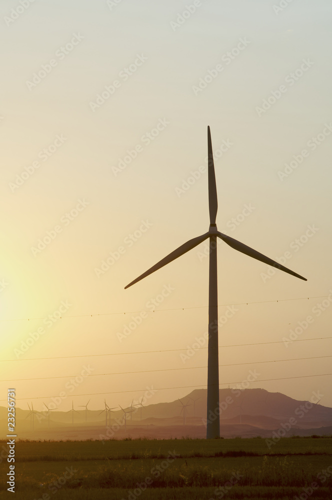 Obraz premium windmill