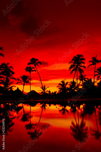 Orange and red sunset over sea beach with palms