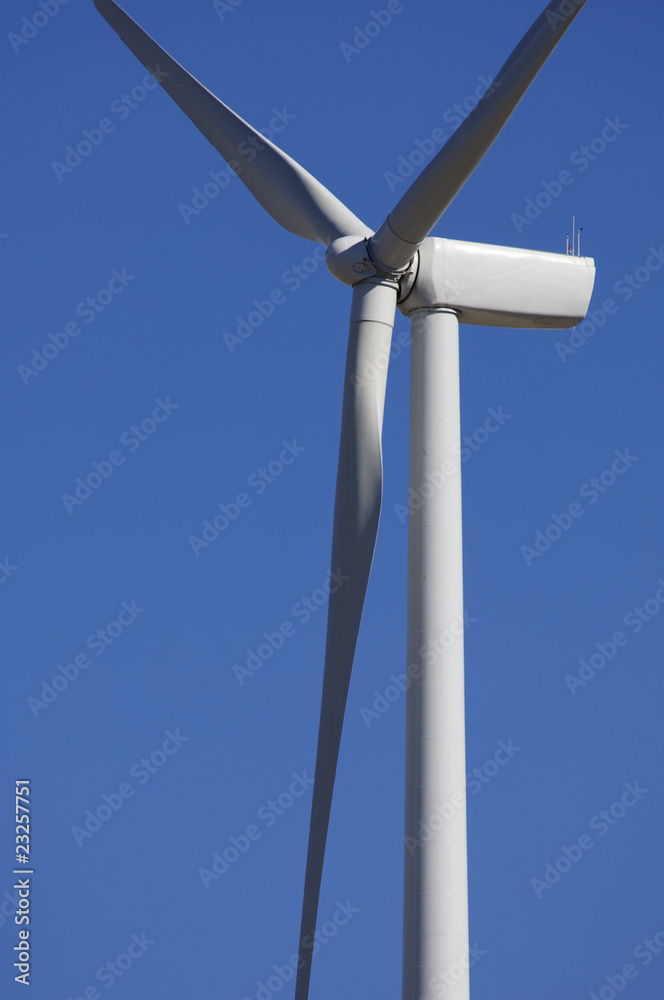 windmill windmill
