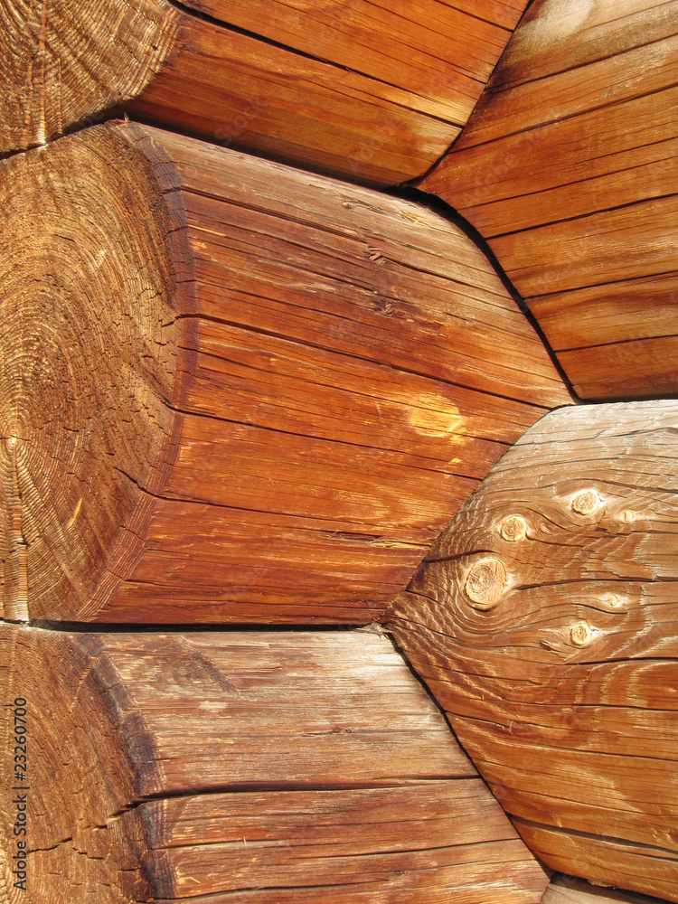 blockhouse tree trunks