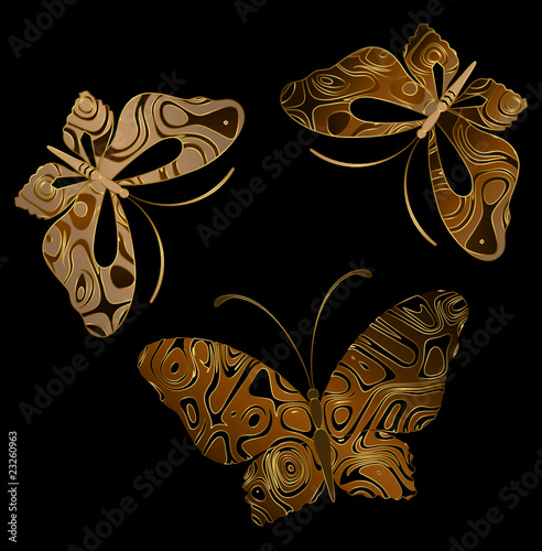 Abstract Butterfly. Beautiful vector illustration