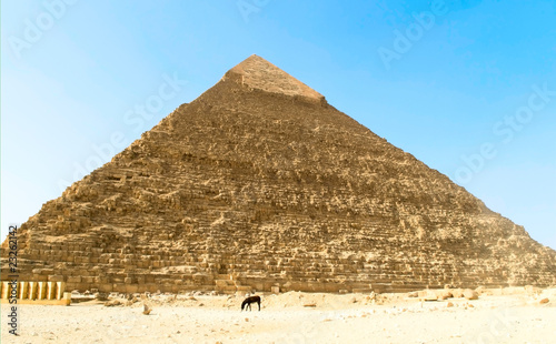 the Khafre pyramid of Giza  Egypt