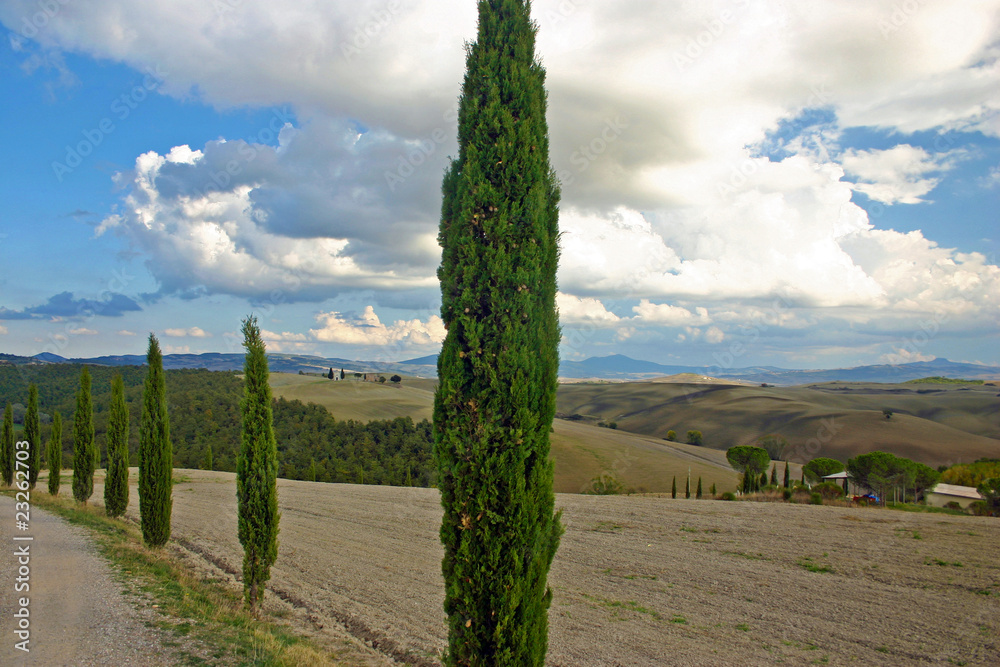 an afternoon in Tuscany