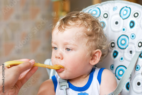 feeding