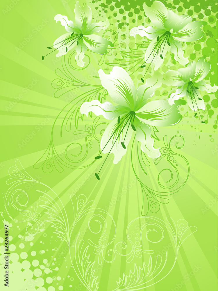 lily flower background lily flower background