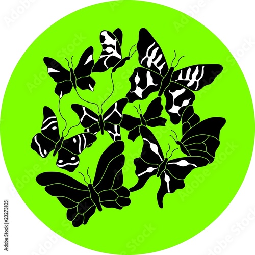 A set of nine different variants   forms of butterflies