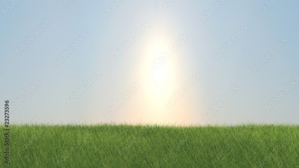 Obraz premium Słoneczny odblask