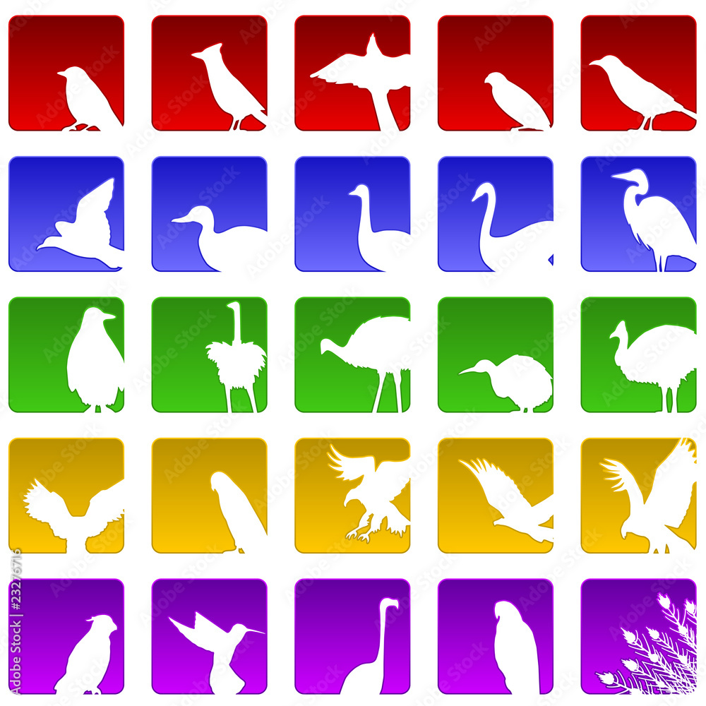 Twenty five bird icons Twenty five bird icons