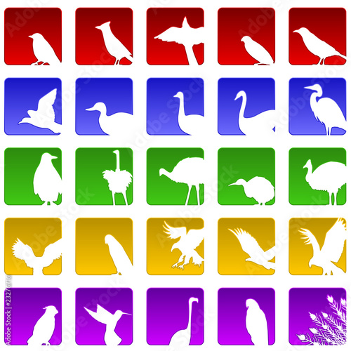Twenty five bird icons photo