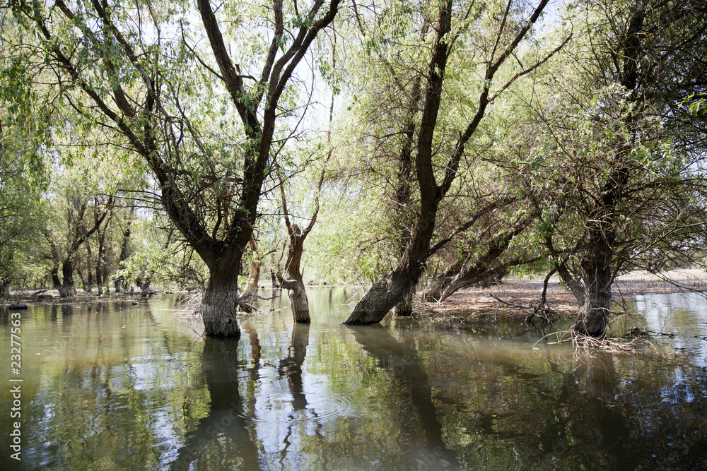 Danube Delta