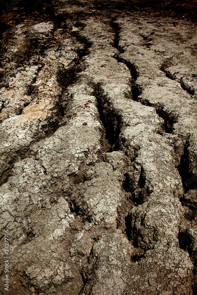 cracked dry earth