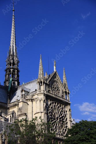 La rosace de Notre Dame de Paris