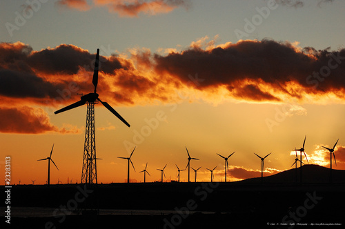 Moliendo el viento photo