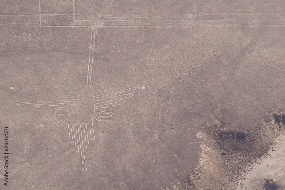Naklejka premium Colibrí, Líneas de Nazca
