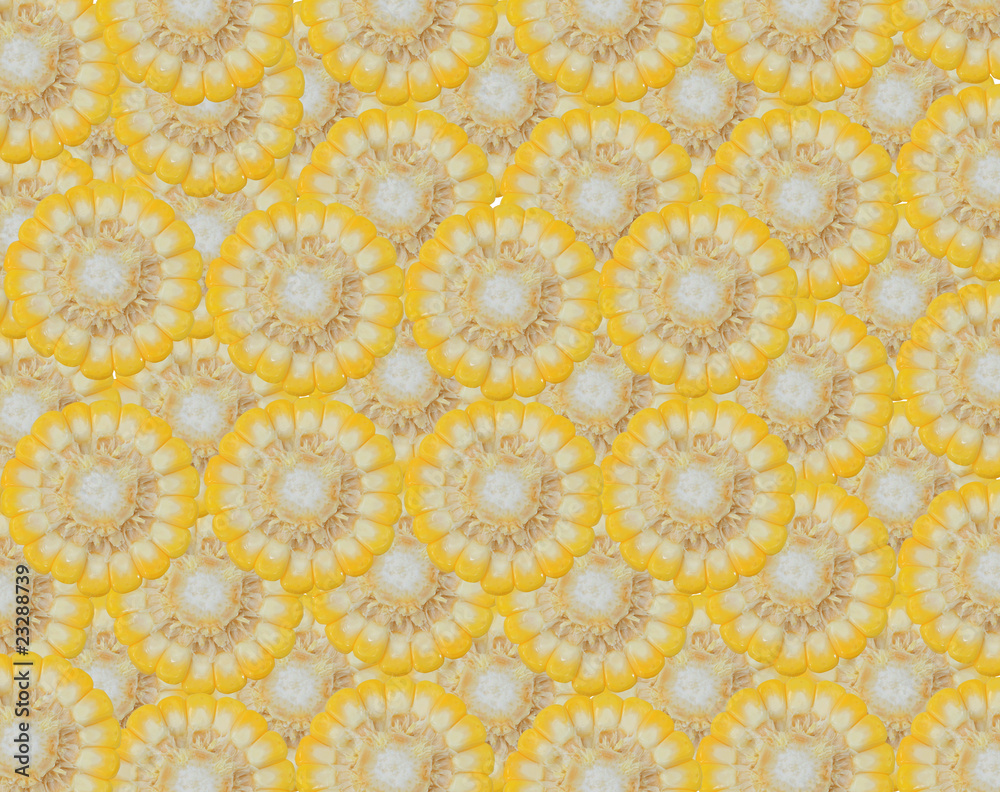 Image of a pile of golden raw corn in a barn Image of a pile of golden raw corn in a barn