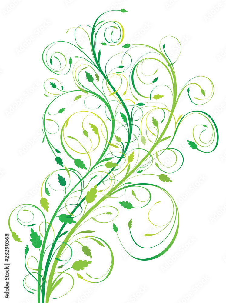 Floral design element Floral design element